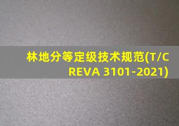 林地分等定级技术规范(T/CREVA 3101-2021)